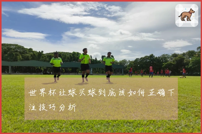 世界杯让球买球到底该如何正确下注技巧分析