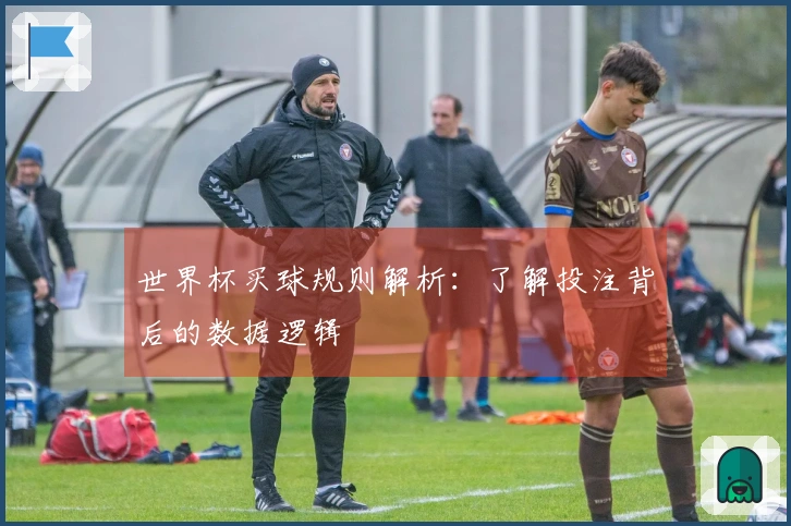世界杯买球规则解析：了解投注背后的数据逻辑