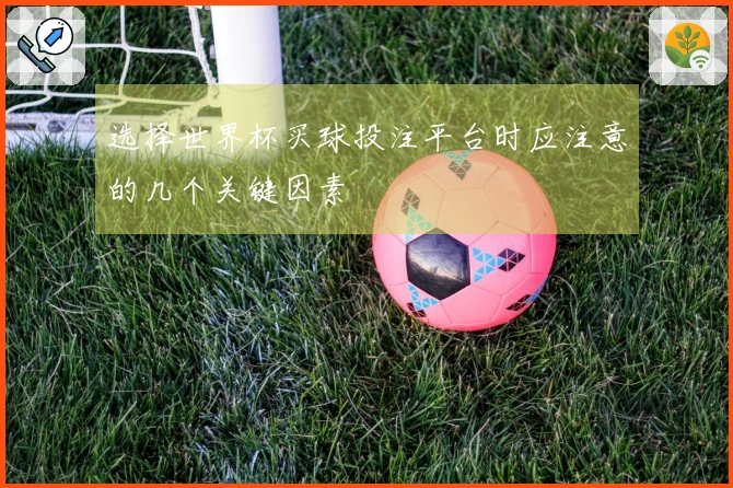选择世界杯买球投注平台时应注意的几个关键因素