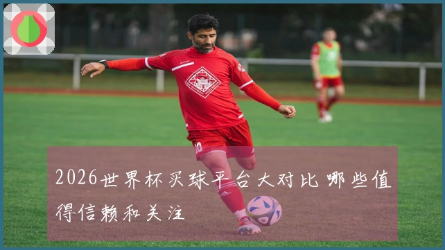 2026世界杯买球平台大对比 哪些值得信赖和关注