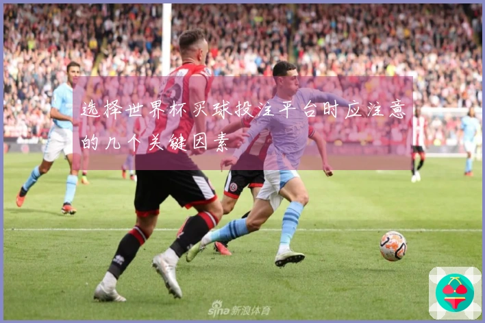 选择世界杯买球投注平台时应注意的几个关键因素